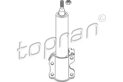 topran-401985