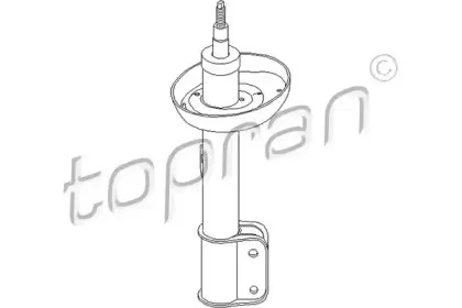topran-206691