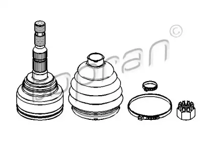 topran-206813