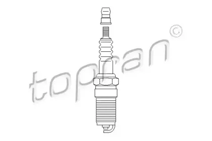topran-300839