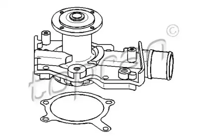 topran-300248