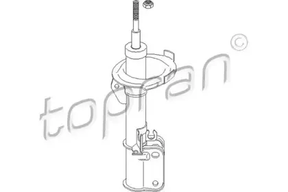 topran-401989
