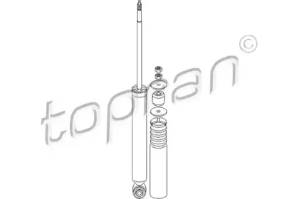 topran-401973