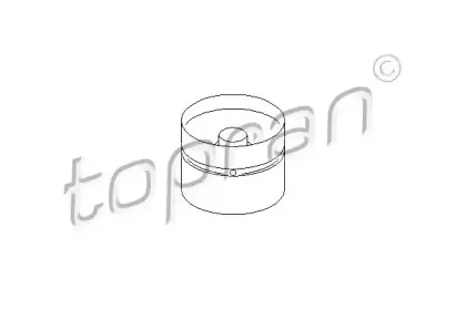 topran-500887