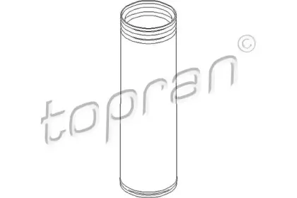 topran-501694