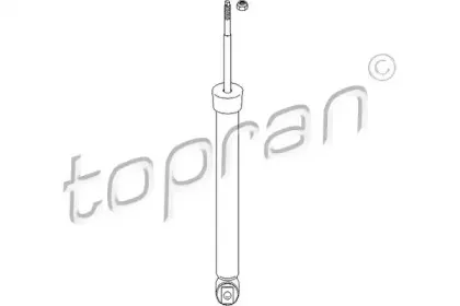 topran-501639