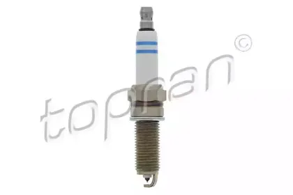 topran-408906