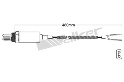 walkerproducts-25021024