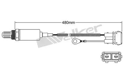 walkerproducts-25021037