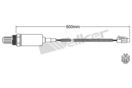 walkerproducts-25021043