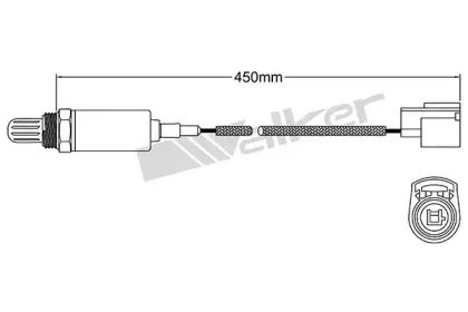 walkerproducts-25021061