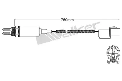 walkerproducts-25021066