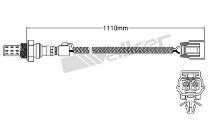 walkerproducts-25022004