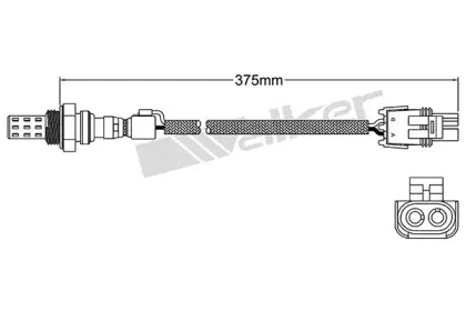 walkerproducts-25022063