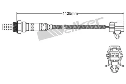 walkerproducts-25022085
