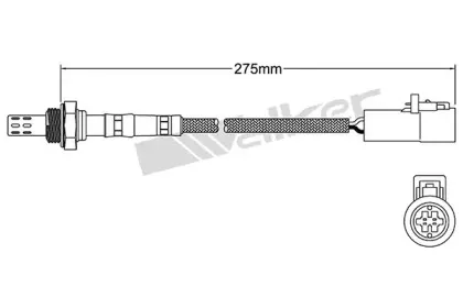 walkerproducts-25023002
