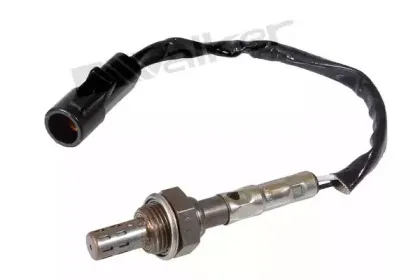 walkerproducts-25023002