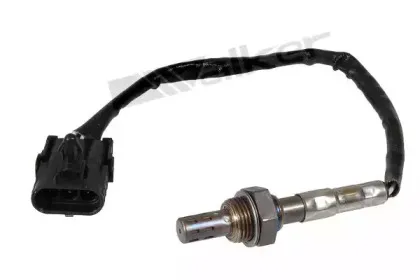 walkerproducts-25023003