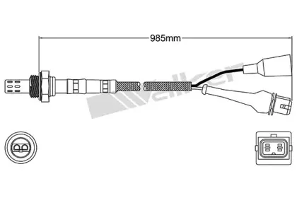 walkerproducts-25023019
