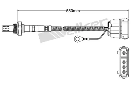 walkerproducts-25023023