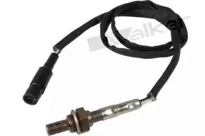 walkerproducts-25023029