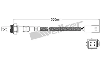 walkerproducts-25023042