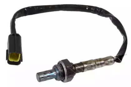 walkerproducts-25023042