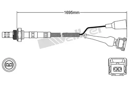 walkerproducts-25023069