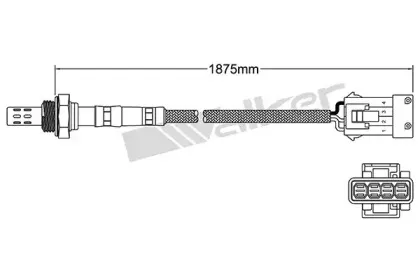 walkerproducts-25023070
