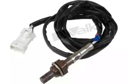 walkerproducts-25023070