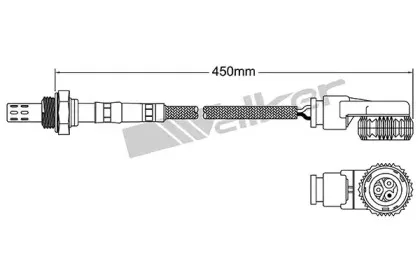 walkerproducts-25023074