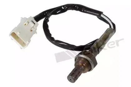 walkerproducts-25023078