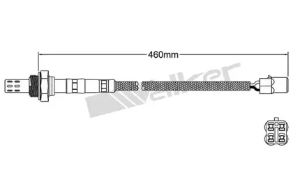 walkerproducts-25023083