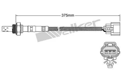 walkerproducts-25023085