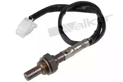 walkerproducts-25023088