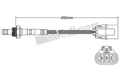 walkerproducts-25023089