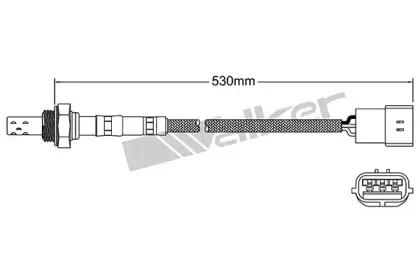 walkerproducts-25023097