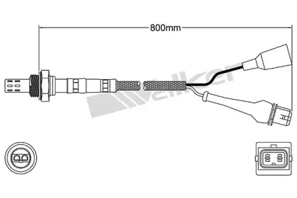 walkerproducts-25023102
