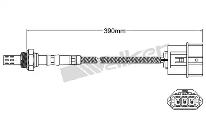walkerproducts-25023121