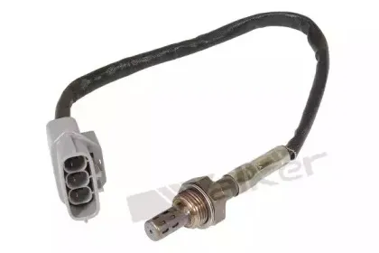 walkerproducts-25023121