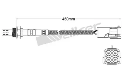 walkerproducts-25023128