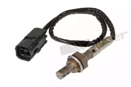 walkerproducts-25023128