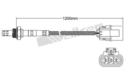 walkerproducts-25023152