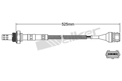 walkerproducts-25023153