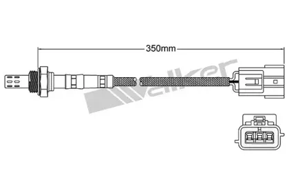 walkerproducts-25023159