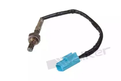 walkerproducts-25023159