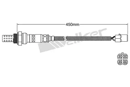 walkerproducts-25023162