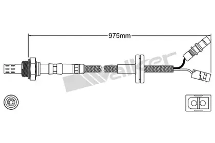 walkerproducts-25023163
