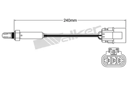 walkerproducts-25023502