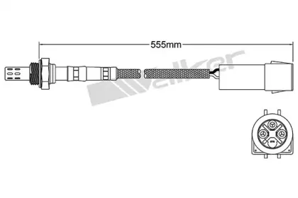 walkerproducts-25023819
